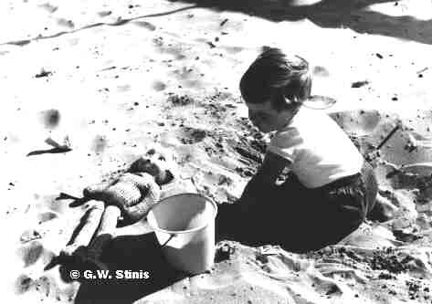 Jenneke in Scheveningen on the beach